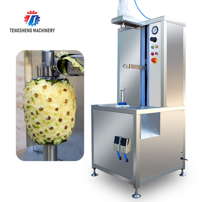 1.0KW 120KG Direct selling vertical single knife peeler pumpkin peeler stainless steel