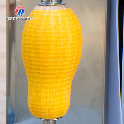 1.0KW 120KG Direct selling vertical single knife peeler pumpkin peeler stainless steel