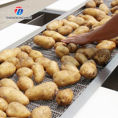 Selection roller brush bubble washing,drying,and cutting production line Fruit Vegetable FOOD processing production Machine