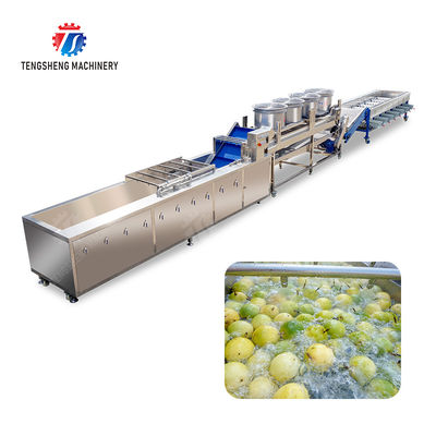 Passion fruit cleaning and drying sorting production line Fruit Vegetable FOOD processing production Machine