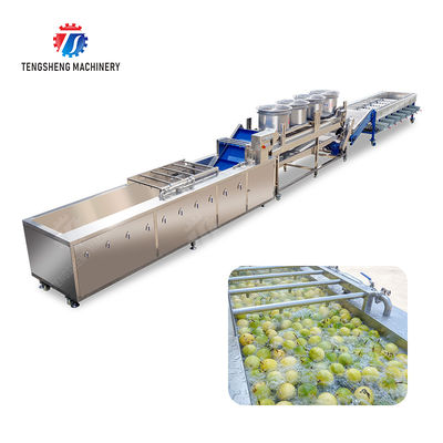 Passion fruit cleaning and drying sorting production line Fruit Vegetable FOOD processing production Machine