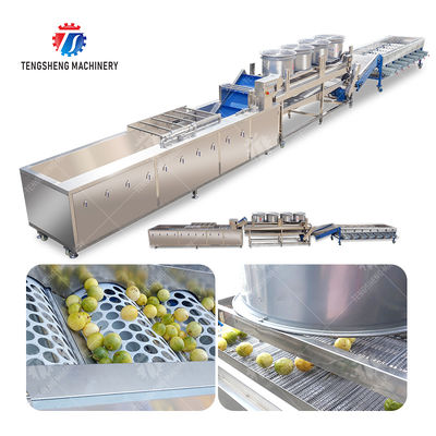 Passion fruit cleaning and drying sorting production line Fruit Vegetable FOOD processing production Machine