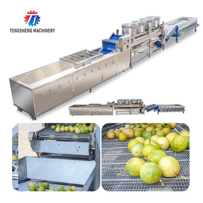 Passion fruit cleaning and drying sorting production line Fruit Vegetable FOOD processing production Machine