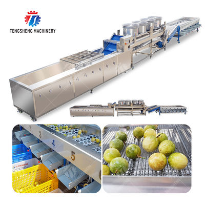 Passion fruit cleaning and drying sorting production line Fruit Vegetable FOOD processing production Machine
