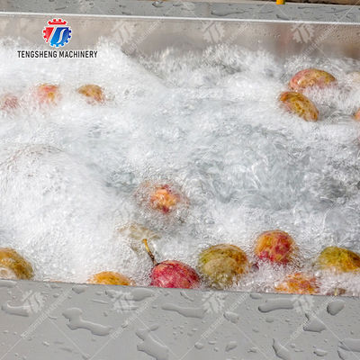 Passion fruit cleaning and drying sorting production line Fruit Vegetable FOOD processing production Machine