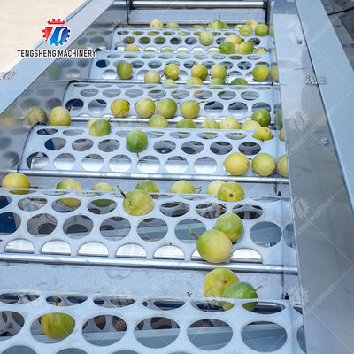 Passion fruit cleaning and drying sorting production line Fruit Vegetable FOOD processing production Machine