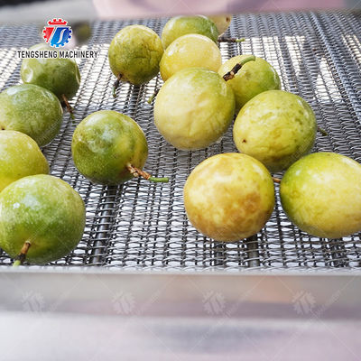 Passion fruit cleaning and drying sorting production line Fruit Vegetable FOOD processing production Machine