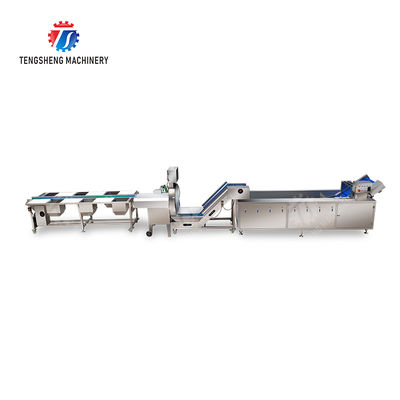 Fruit and vegetable selection, cutting and washing production line Fruit Vegetable FOOD processing production Machine