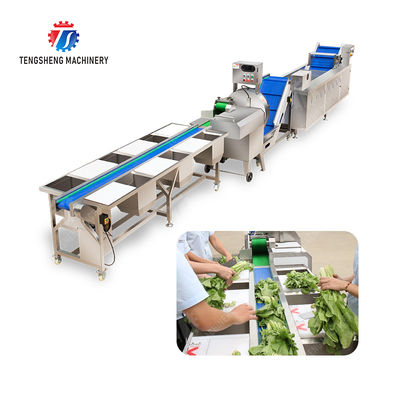 Fruit and vegetable selection, cutting and washing production line Fruit Vegetable FOOD processing production Machine