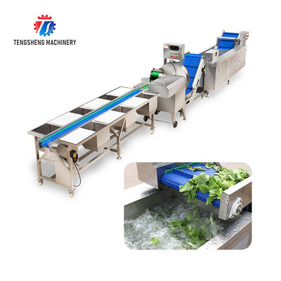 Fruit and vegetable selection, cutting and washing production line Fruit Vegetable FOOD processing production Machine