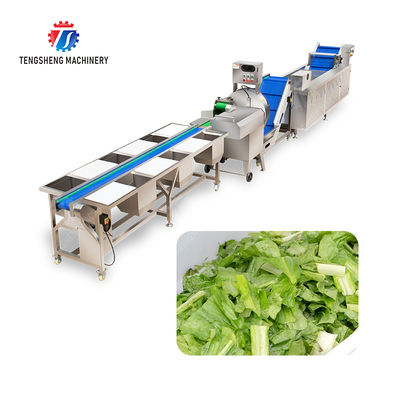 Fruit and vegetable selection, cutting and washing production line Fruit Vegetable FOOD processing production Machine