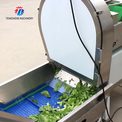 Fruit and vegetable selection, cutting and washing production line Fruit Vegetable FOOD processing production Machine