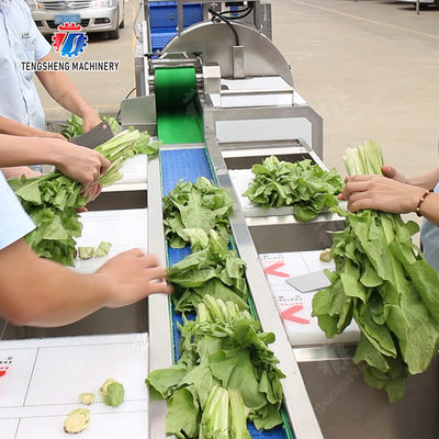 Fruit and vegetable selection, cutting and washing production line Fruit Vegetable FOOD processing production Machine