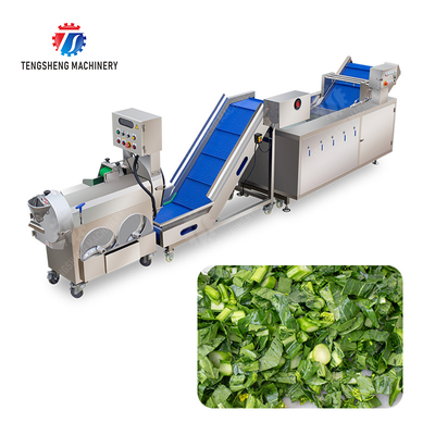 Fruit and vegetable cutting, hoisting and washing production line Fruit Vegetable FOOD processing production Machine