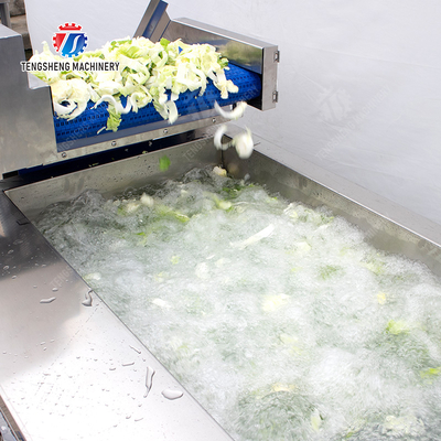 Fruit and vegetable cutting, hoisting and washing production line Fruit Vegetable FOOD processing production Machine