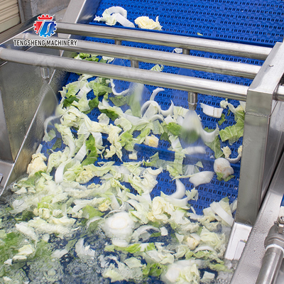 Fruit and vegetable cutting, hoisting and washing production line Fruit Vegetable FOOD processing production Machine