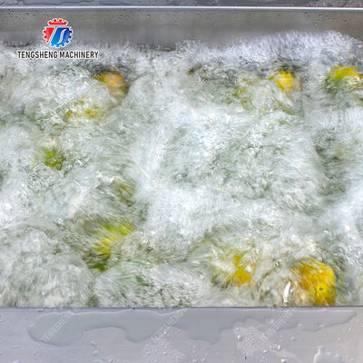 Dust Scrub Sortment Fruit Production Line Bubble Controlling Pineapple Vegetable Cleaning