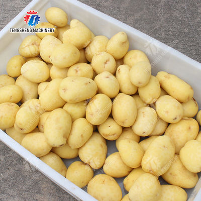 Ginger Potato Carrot Taro Sweet potato Yam Saiko persimmon papaya horseshoe Sealed Cover Type Peeling Machine Wash Washer Washing Cleaning