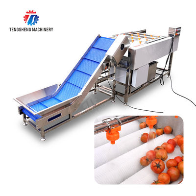 Orange Potato  Onions Ginger Potato Carrot Taro Sweet potato Yam Saiko persimmon papaya horseshoe Simple melon and fruit lifting and brush roller cleaning production line