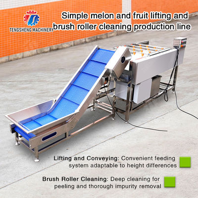 Orange Potato  Onions Ginger Potato Carrot Taro Sweet potato Yam Saiko persimmon papaya horseshoe Simple melon and fruit lifting and brush roller cleaning production line
