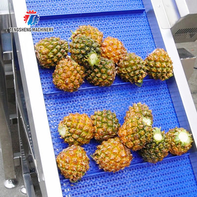 Orange Potato  Onions Ginger Potato Carrot Taro Sweet potato Yam Saiko persimmon papaya horseshoe Simple melon and fruit lifting and brush roller cleaning production line