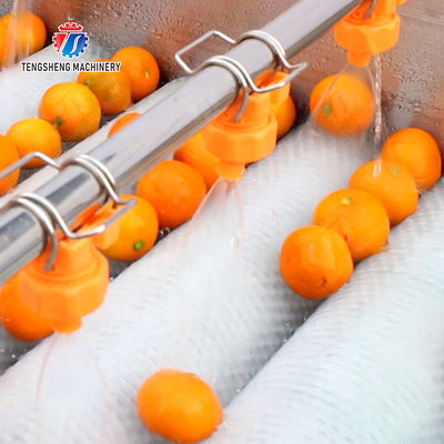 Orange Potato  Onions Ginger Potato Carrot Taro Sweet potato Yam Saiko persimmon papaya horseshoe Simple melon and fruit lifting and brush roller cleaning production line