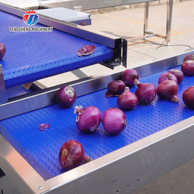 Conveyor Production Line Simplified Orange Potato  Onions Ginger Potato Carrot Taro Sweet potato Yam Saiko persimmon papaya horseshoe processing production Grading Transporting Machine