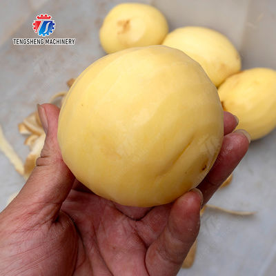 Persimmon peeling machine processing production Supplying Machine