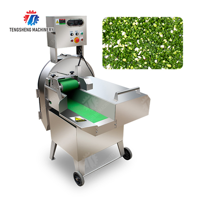 X Final Product Fruit And Vegetable Processing Line with Silver Finish