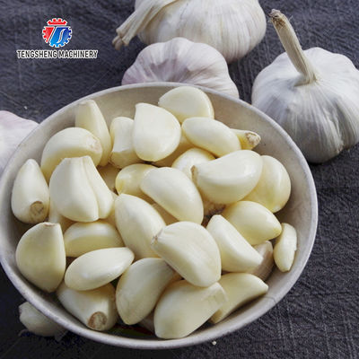 Garlic Peeling processing production Machine minced garlic processing production
