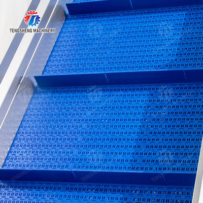 Passion Fruit Kiwi Fruit Mango Strawberry lemon ginger kale Celery apple Tomato orange Baby Cabbage Chinese Cabbage Cabbage corn chili Washer Washing Dryer  Pre-foaming elevator