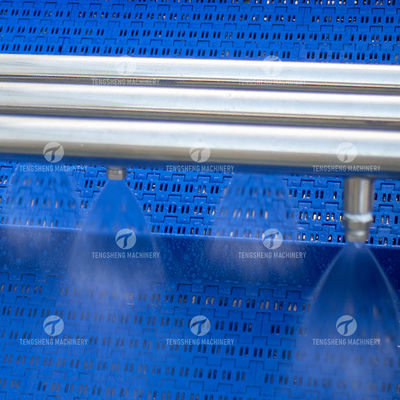 Customized Citrus Fruit And Vegetable Processing Line Impurities Treatment Sewage Disposal