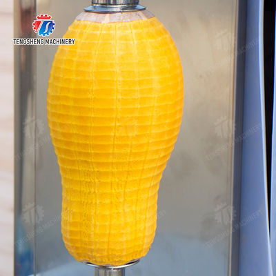 papaya chieh-qua pumpkin wax gourd pineapple Vertical single knife peeling machine watermelon Hami Melon Peeling polishing