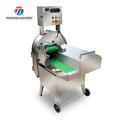 X Final Product Fruit And Vegetable Processing Line with Silver Finish