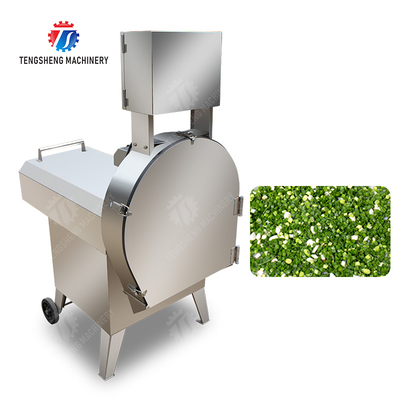X Final Product Fruit And Vegetable Processing Line with Silver Finish