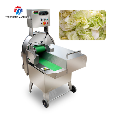 X Final Product Fruit And Vegetable Processing Line with Silver Finish
