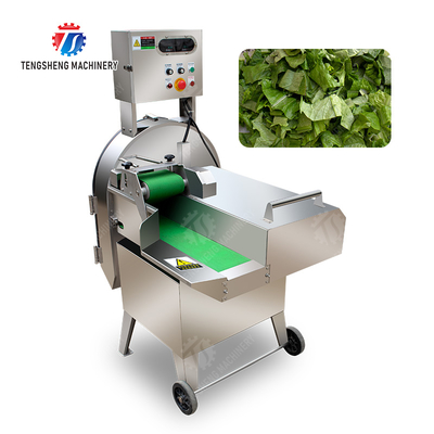 X Final Product Fruit And Vegetable Processing Line with Silver Finish