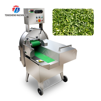 X Final Product Fruit And Vegetable Processing Line with Silver Finish