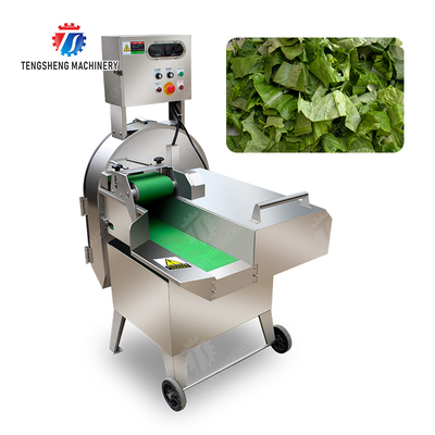 X Final Product Fruit And Vegetable Processing Line with Silver Finish