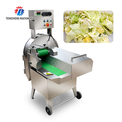 X Final Product Fruit And Vegetable Processing Line with Silver Finish