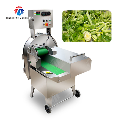 X Final Product Fruit And Vegetable Processing Line with Silver Finish