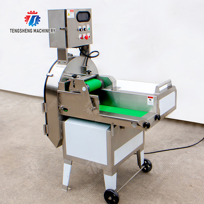 X Final Product Fruit And Vegetable Processing Line with Silver Finish