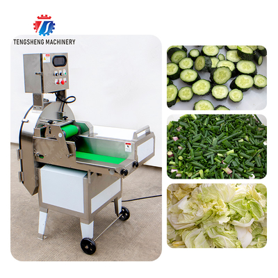 X Final Product Fruit And Vegetable Processing Line with Silver Finish