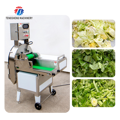 X Final Product Fruit And Vegetable Processing Line with Silver Finish