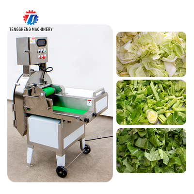 X Final Product Fruit And Vegetable Processing Line with Silver Finish