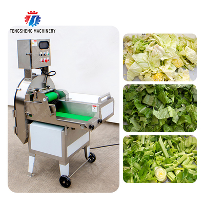 X Final Product Fruit And Vegetable Processing Line with Silver Finish