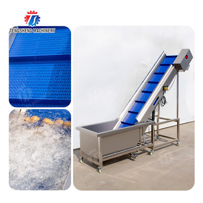 Passion Fruit Kiwi Fruit Mango Strawberry lemon ginger kale Celery apple Tomato orange Baby Cabbage Chinese Cabbage Cabbage corn chili Washer Washing Dryer  Pre-foaming elevator