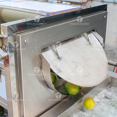 Customized Citrus Fruit And Vegetable Processing Line Impurities Treatment Sewage Disposal