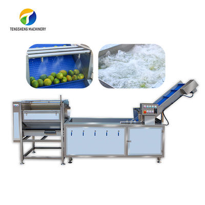 লেবু প্রসেসিং যন্ত্রপাতি ইন্ডাস্ট্রিয়াল এয়ার বুদ্বুদ ব্রাশ সাইট্রাস ডাঁটা