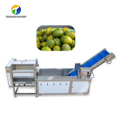 ডাস্ট স্ক্রাব বাছাই ফলের উত্পাদন লাইন বুদবুদ নিয়ন্ত্রণ আনারস সবজি পরিষ্কার